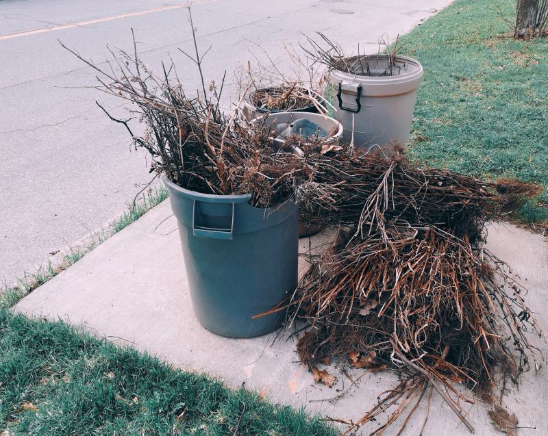 Junk Disposal