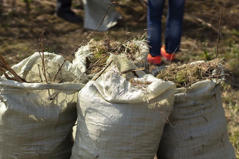 Outdoor Clutter Removal